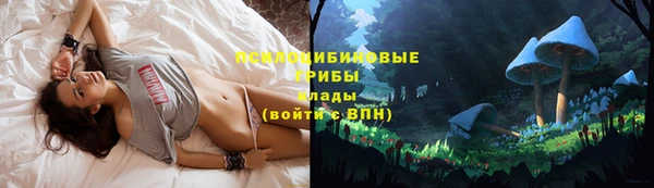 скорость Коряжма