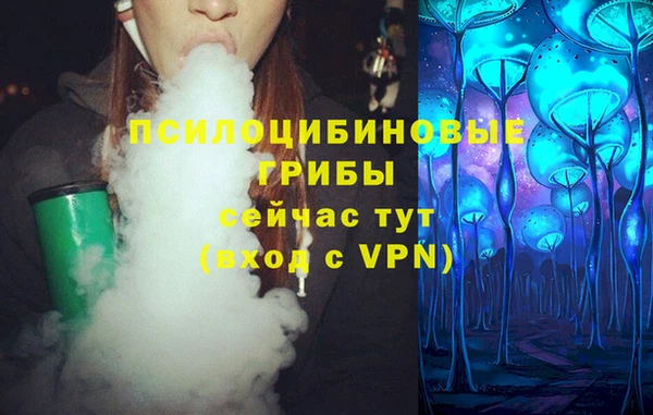apvp Корсаков