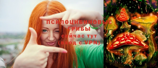 а пвп мука Калининец
