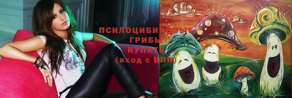 apvp Корсаков