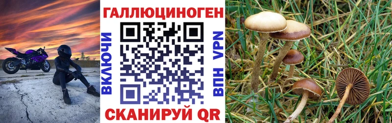 Галлюциногенные грибы MAGIC MUSHROOMS  Купить  Моздок 