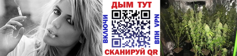 Купить где  Моздок  Конопля планчик 